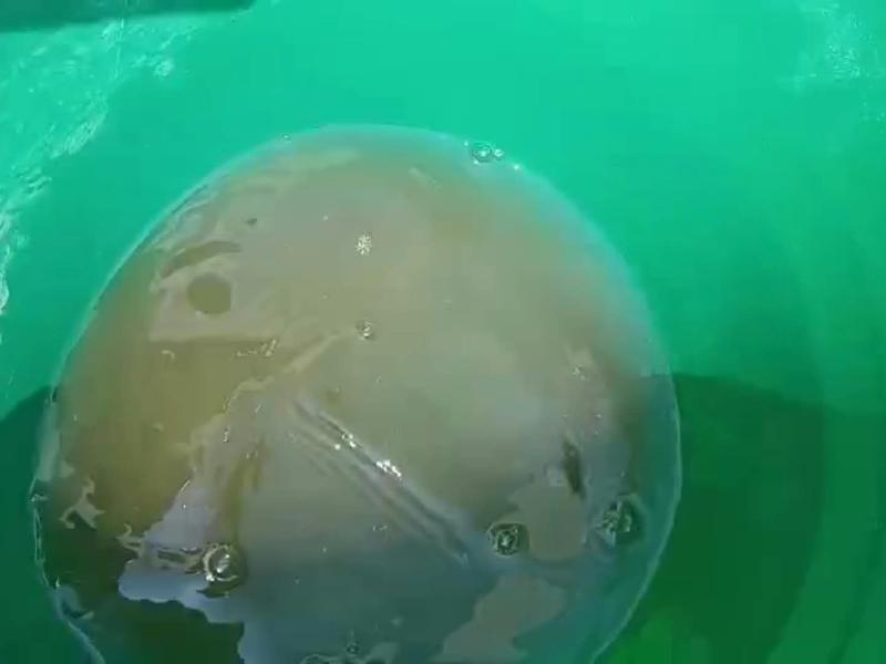 En Tulipanes han sido cuatro años recibiendo agua sucia, acusan vecinos