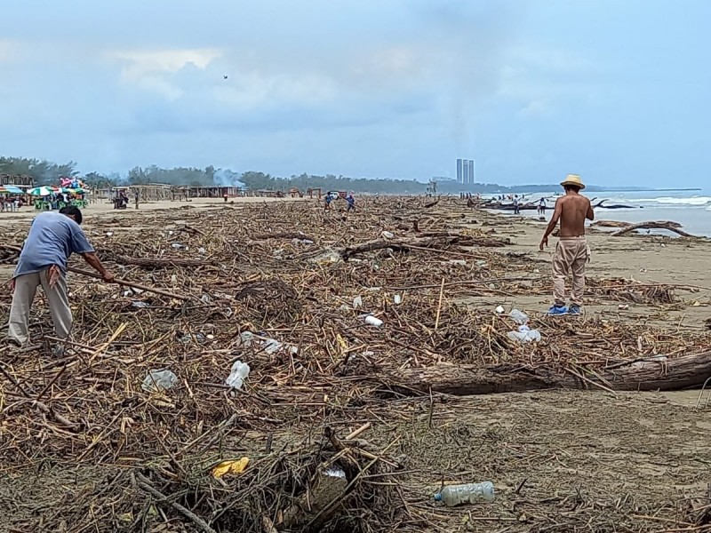 En Tuxpan, pobladores trabajan en el retiro de la palizada