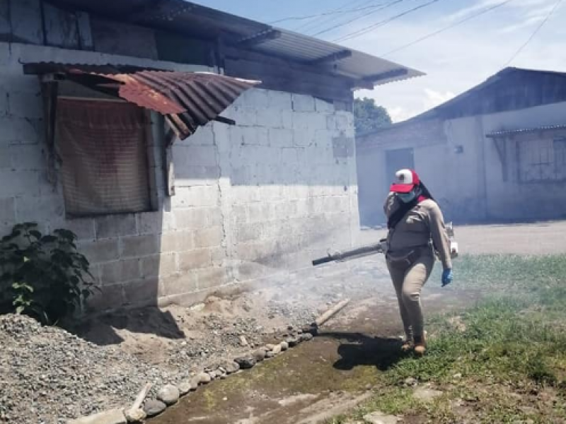En Tuxtla Gutiérrez niegan 17 colonias a fumigación por dengue
