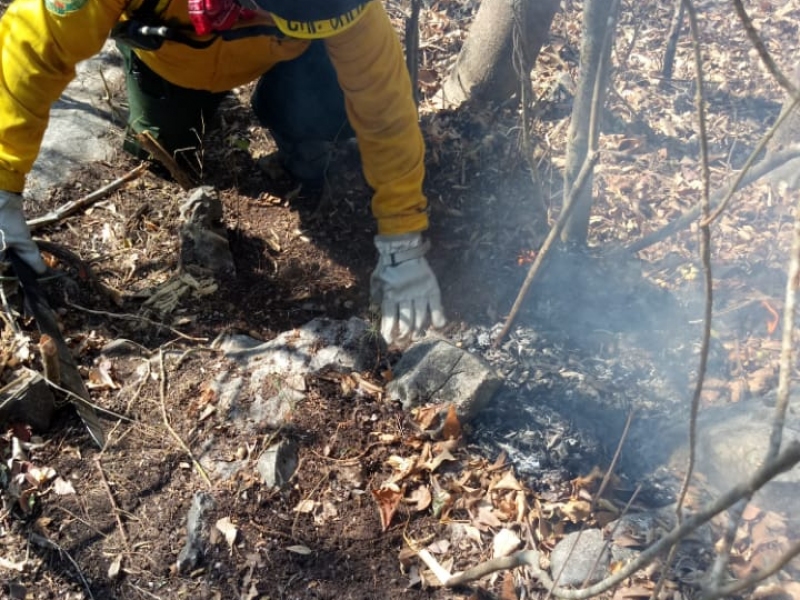 En un 80 por ciento combate de incendio