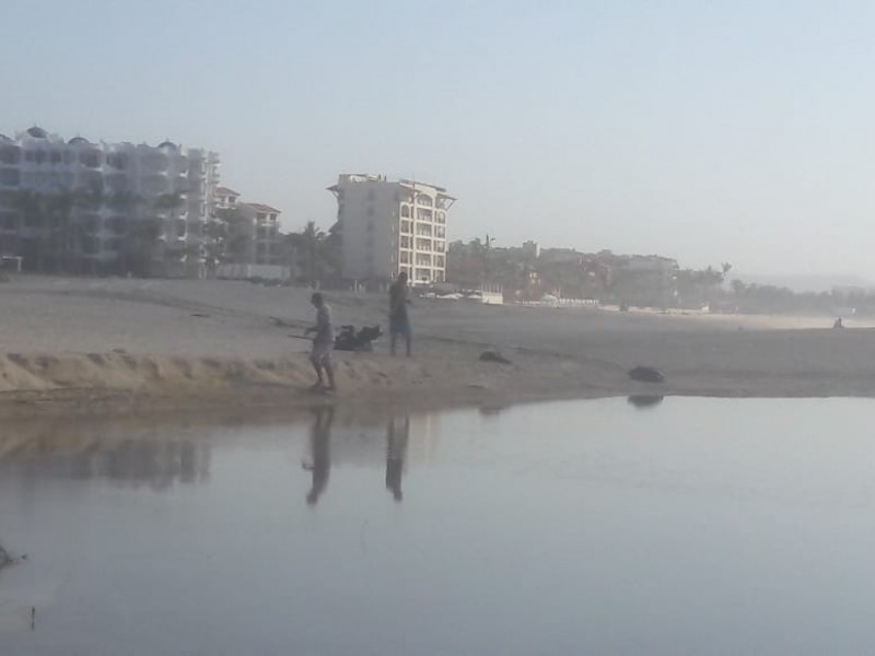 En una semana más, concluirán labores de limpieza en playas