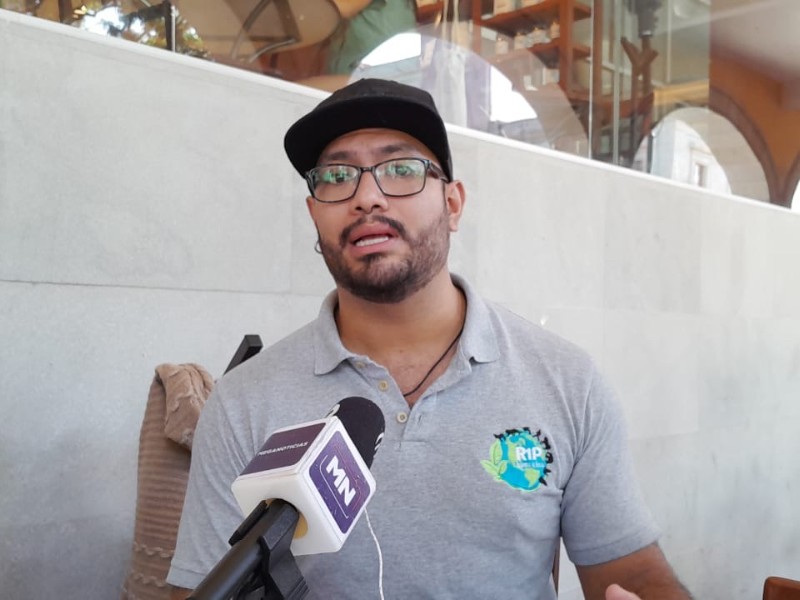 En verano, aumentan avistamientos de animales silvestres en Xalapa