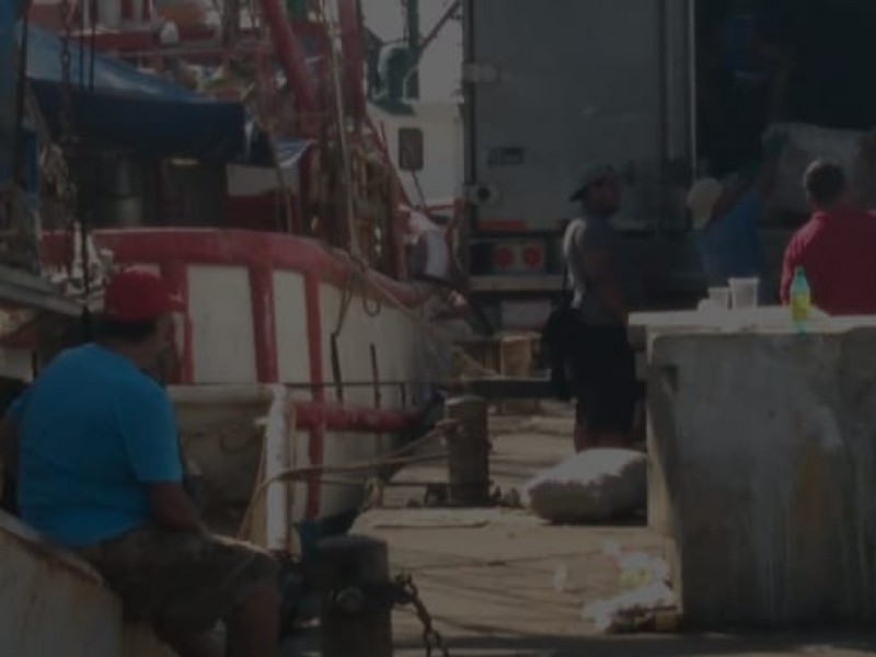 En veremos segundo viaje de capturas de camarón