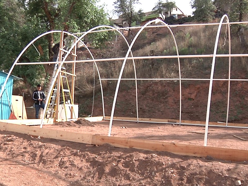 En vivero escolar enseñan ecología a los alumnos