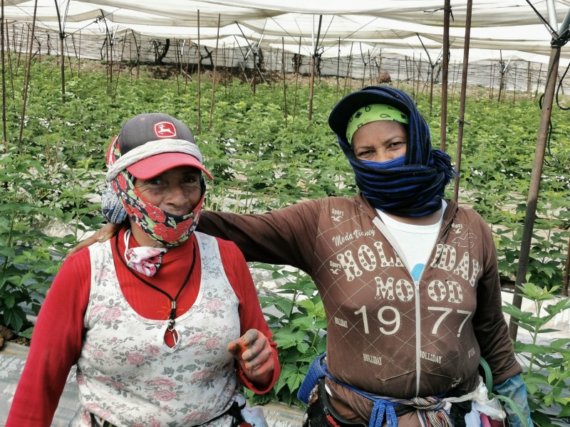 En Zamora reconocerán la labor de las mujeres rurales