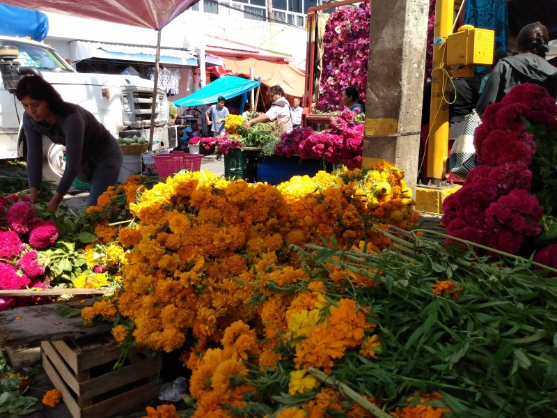 Encarece flor de muerto por plagas y clima