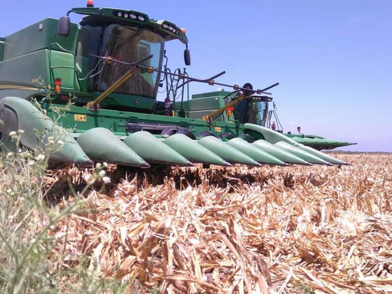 Encarecimiento de insumos, obliga incrementar tarifa maquila