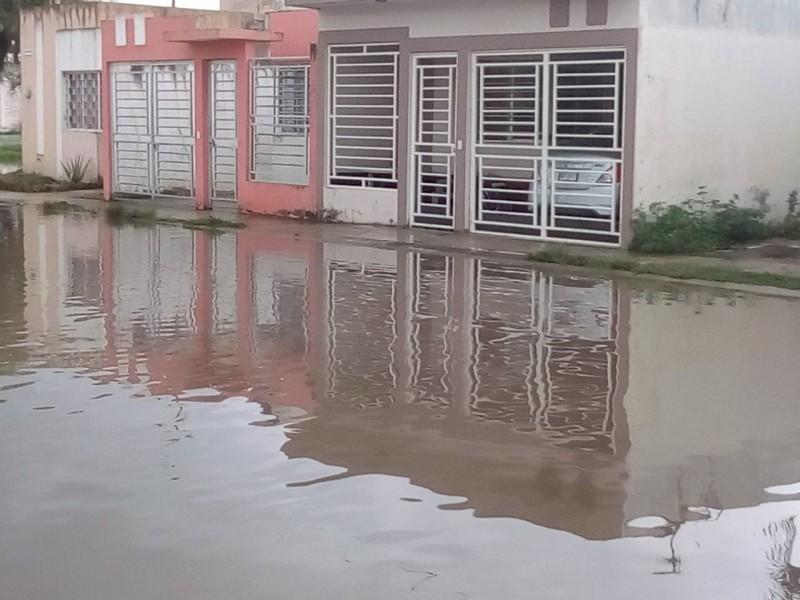 Encharcamientos preocupan a vecinos en Tepic