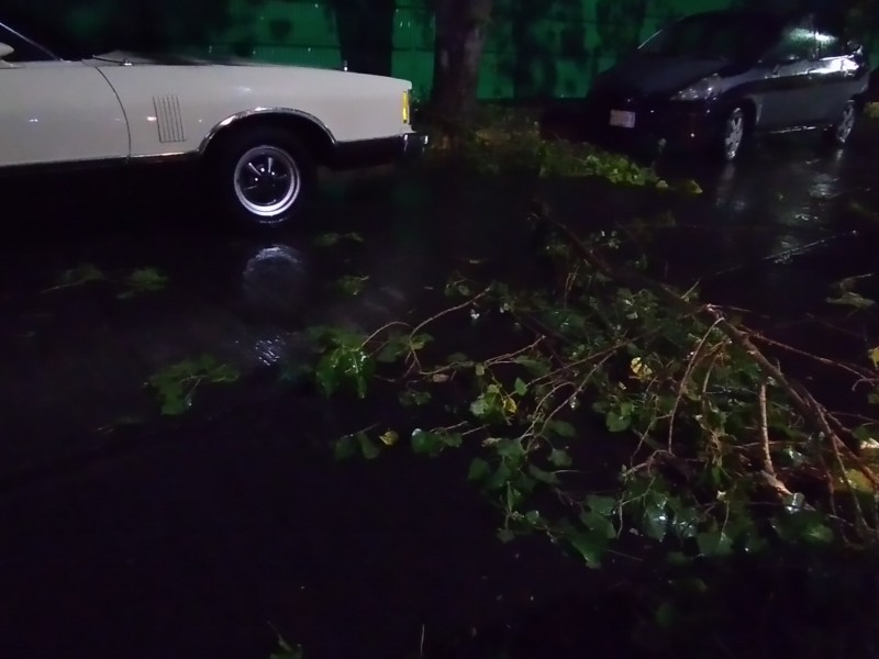 Encharcamientos y fallas eléctricas, tras lluvias de este miércoles