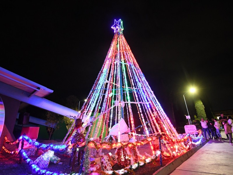 Encienden árbol de navidad hecho con 1500 botellas