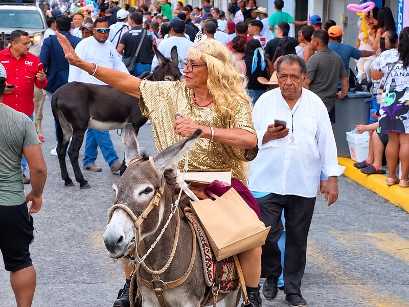 Encierro de burros: el día de la liberación