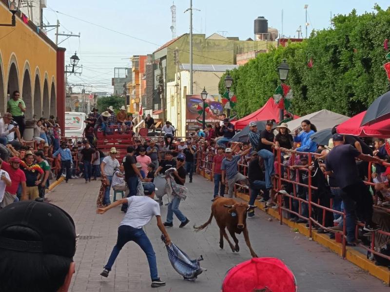 Encierros taurinos ¿quién los regula?