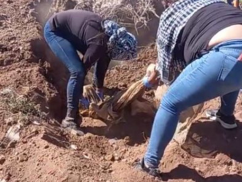 Encuentran 3 cuerpos en Valle del Yaqui