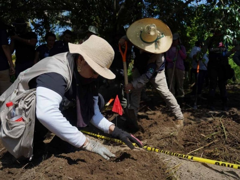 Encuentran 8 fosas clandestinas en Irapuato