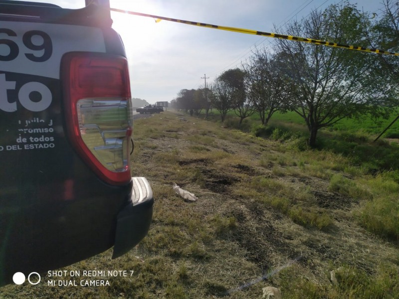 Encuentran a  'encobijado' en carretera a Celaya