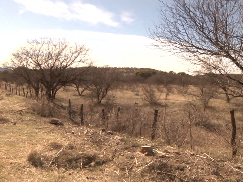 Encuentran a mujer sin vida en predio del bellotoso