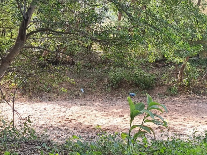 Encuentran cadáver en una fosa clandestina en el poblado Agua Blanca