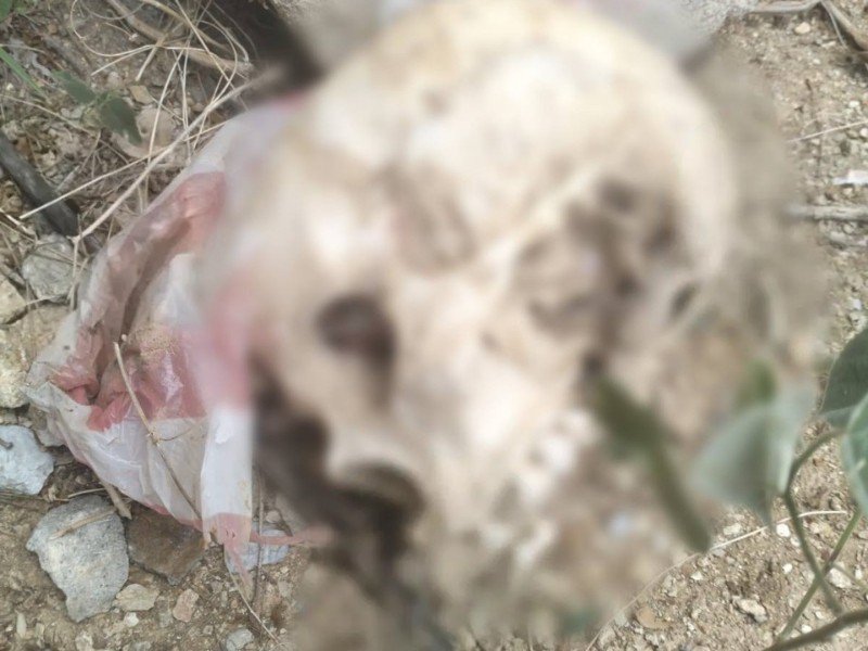 Encuentran cráneo humano en la tercera sección de Mixtequilla