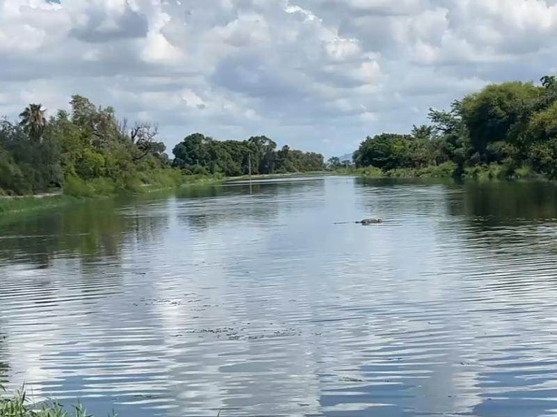 Encuentran cuerpo flotando en Canal Bajo a la altura del Campo 2