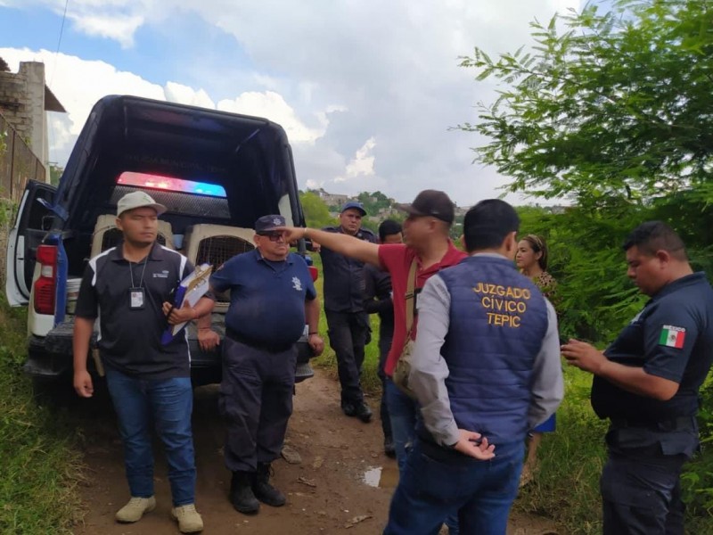 Encuentran dos perros amarrados, con hocico encintado en Loma Hermosa