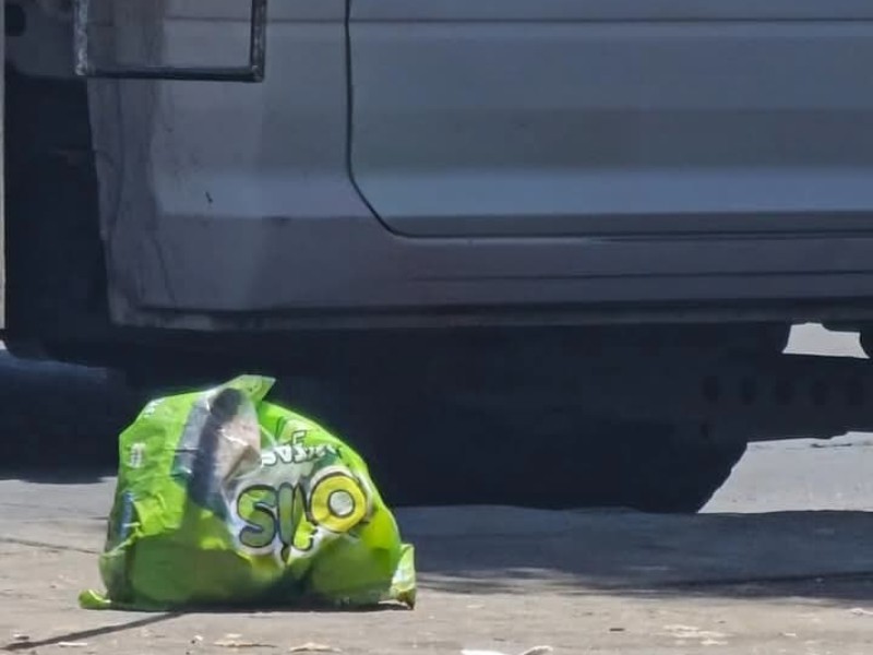 Encuentran feto en bote de basura en el López Mateos