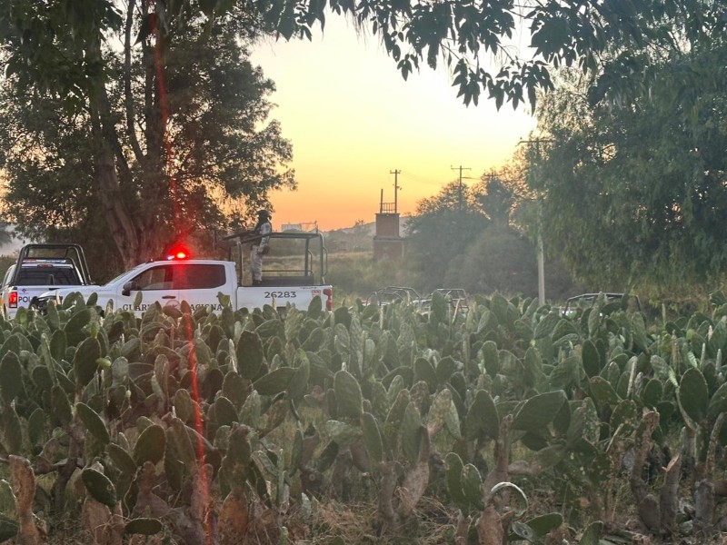Encuentran fosa clandestina en El Pitayo
