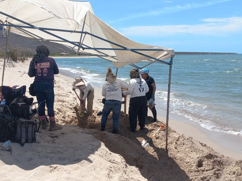 Encuentran fosa clandestina en playa de San Carlos