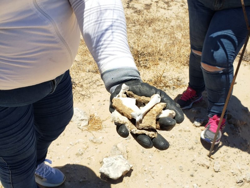 Encuentran  fosas con restos humanos en Puerto Peñasco