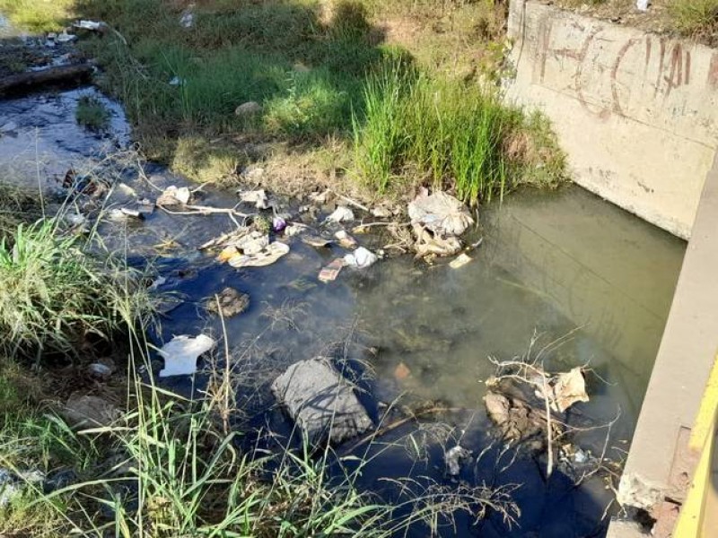 Encuentran hasta animales muertos en canales de Mazatlán
