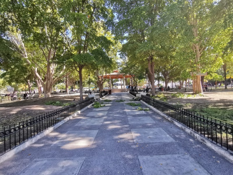 Encuentran hombre con herida de bala en Plazuela 27 de Septiembre