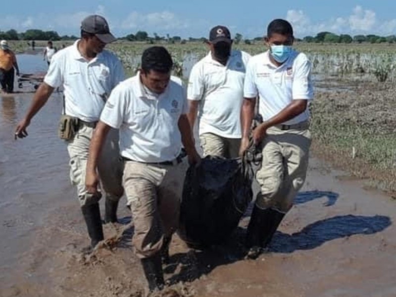 Encuentran hombre sin vida en parcela de Acaponeta