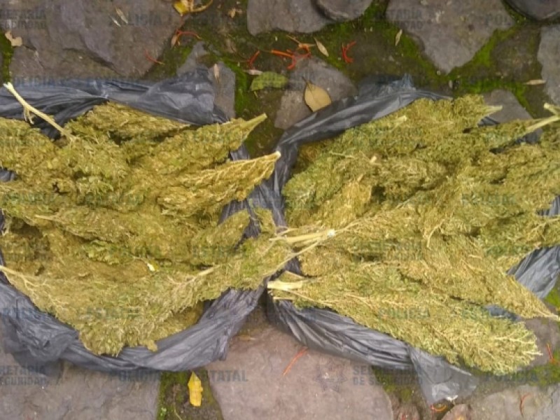 Encuentran marihuana en mueble empaquetado en Veracruz