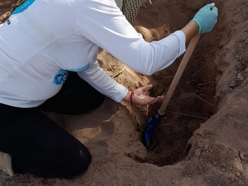 Encuentran restos humanos al poniente de Hermosillo