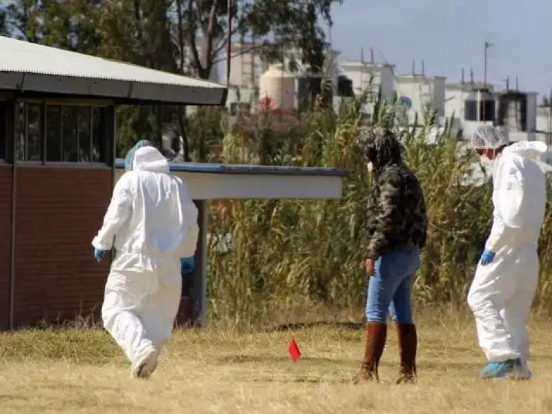 Encuentran restos humanos en  Mayorazgo