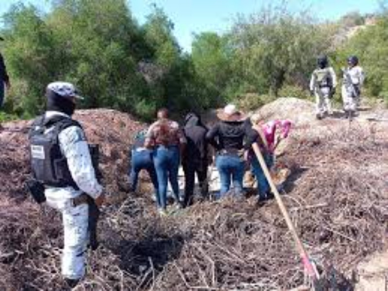 Encuentran restos humanos en zona de monte de Pitiquito