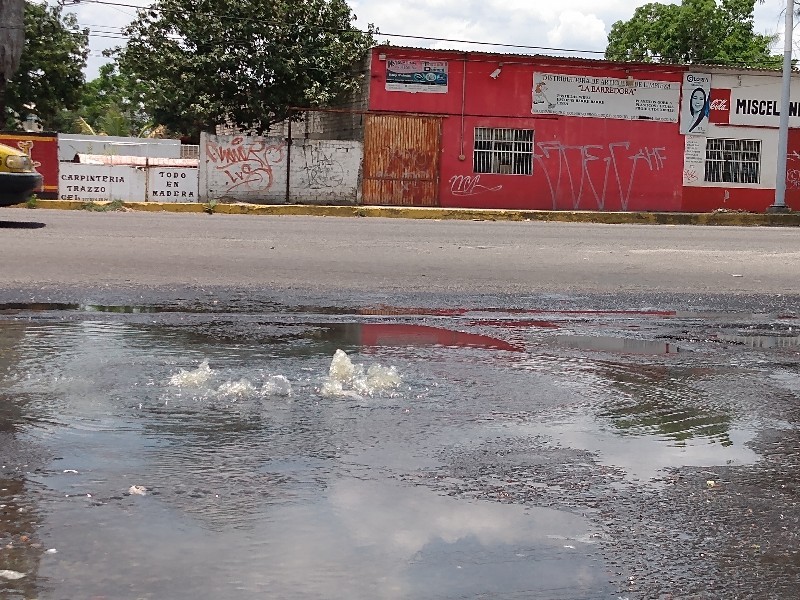 Enfermedades y molestias ocasiona fuga de aguas negras