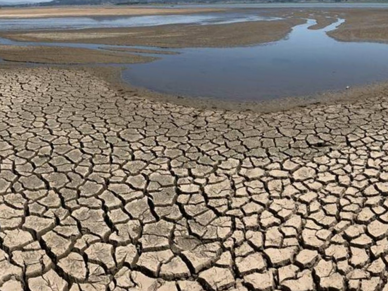 Enfrenta Guanajuato sequía extrema
