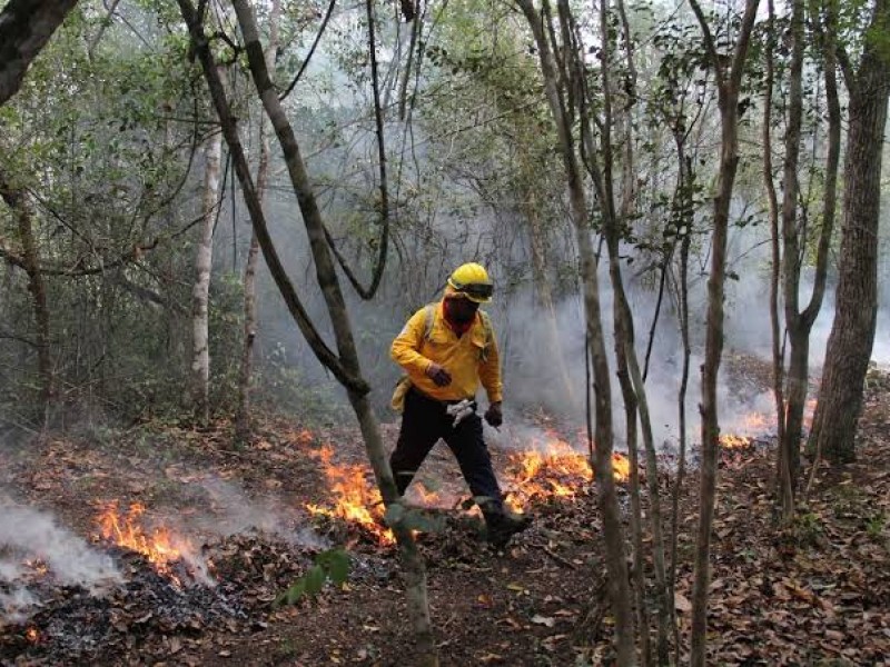 Enfrenta región Zamora crítico panorama de incendios forestales, afirma CONAFOR