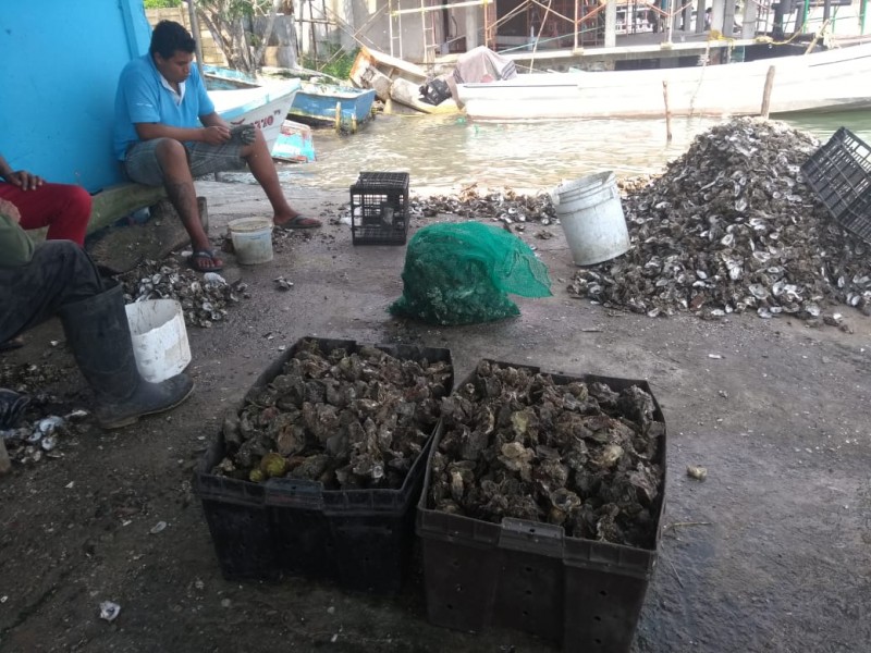 Enfrentan Pescadores, Sequía y Vedas