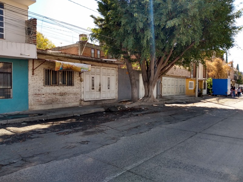 Enorme árbol genera diversas afectaciones en San Manuel