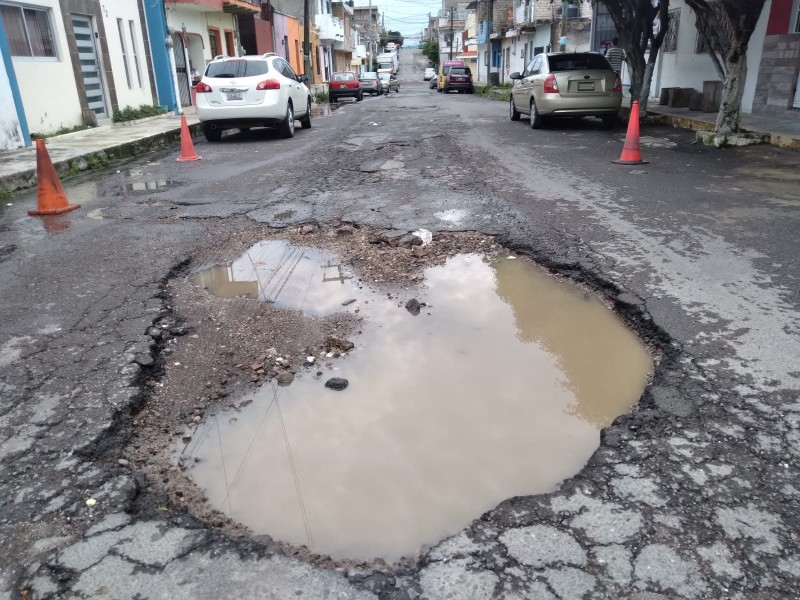 Enorme bache afecta a colonia 20 de noviembre