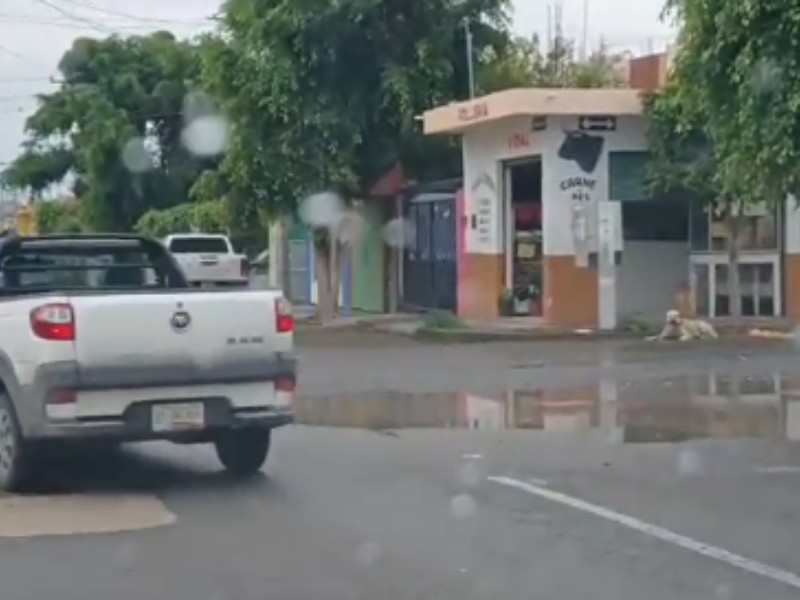 Enorme bache en el Fraccionamiento Los Frailes