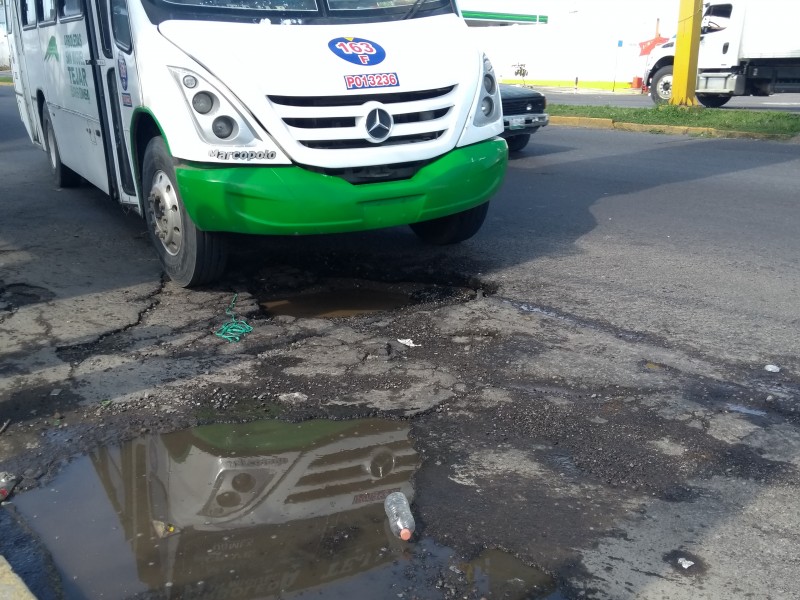 Enorme bache en Paseo  Ejército Mexicano