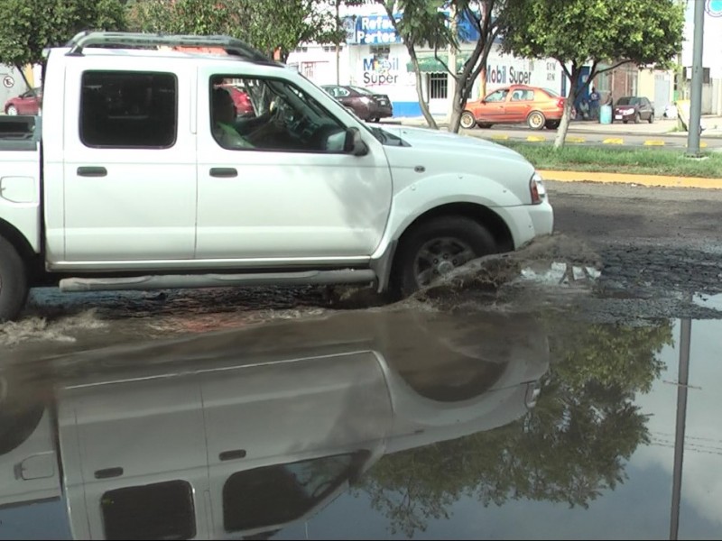 Enorme bache genera riesgo para automovilistas