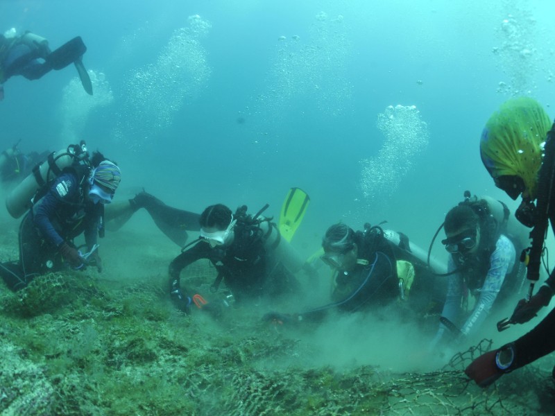 Enredos en redes de pesca siguen sin atención oficial
