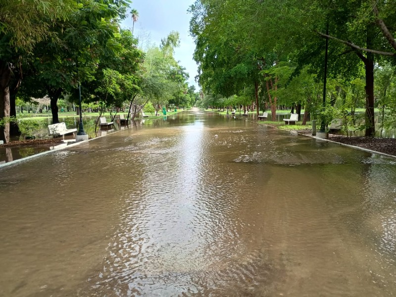 ¡Entérate! Jardín Botánico ha cerrado de manera temporal tras inundaciones por Lorena