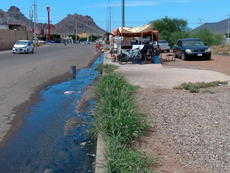 Entre aguas negras trabajan comerciantes al norte de Guaymas
