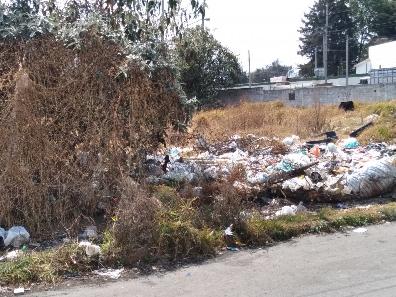 Entre basura e inseguridad terreno baldío en Toluca