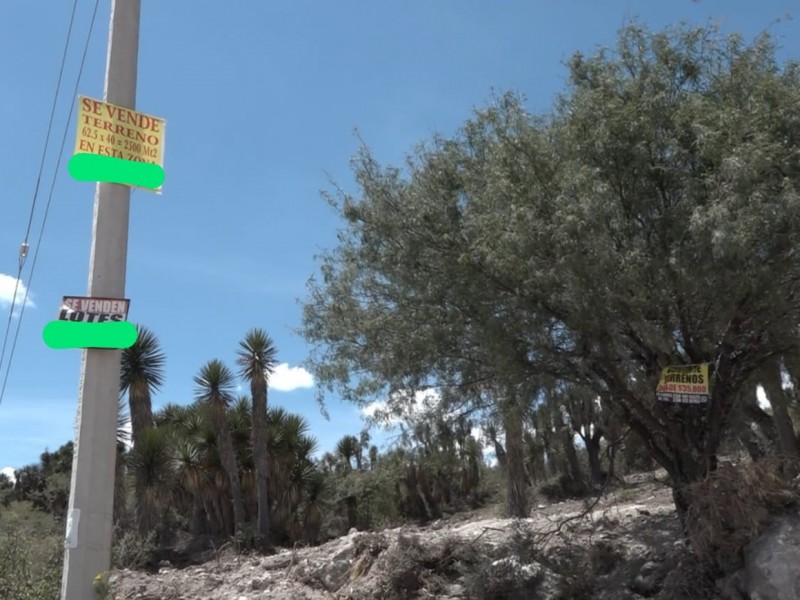 Entre basura y lotificación irregular descontrolada, meseta del cerro