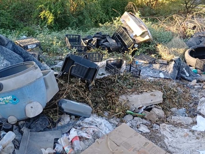 Entre basura y malos olores viven vecinos de Las Mañanitas